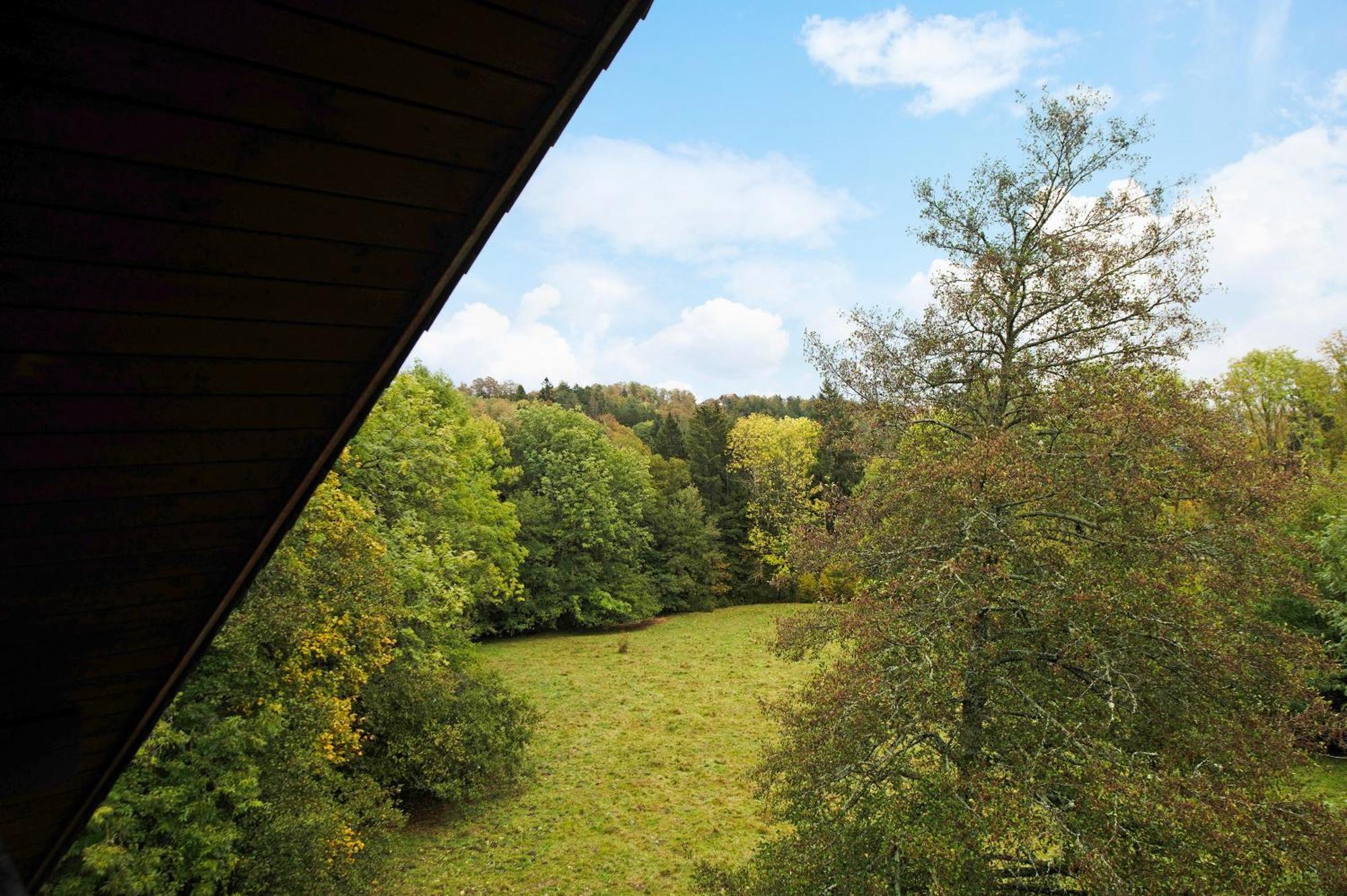 Landhaus Am Schmiedebach Wittenschwand Exteriör bild