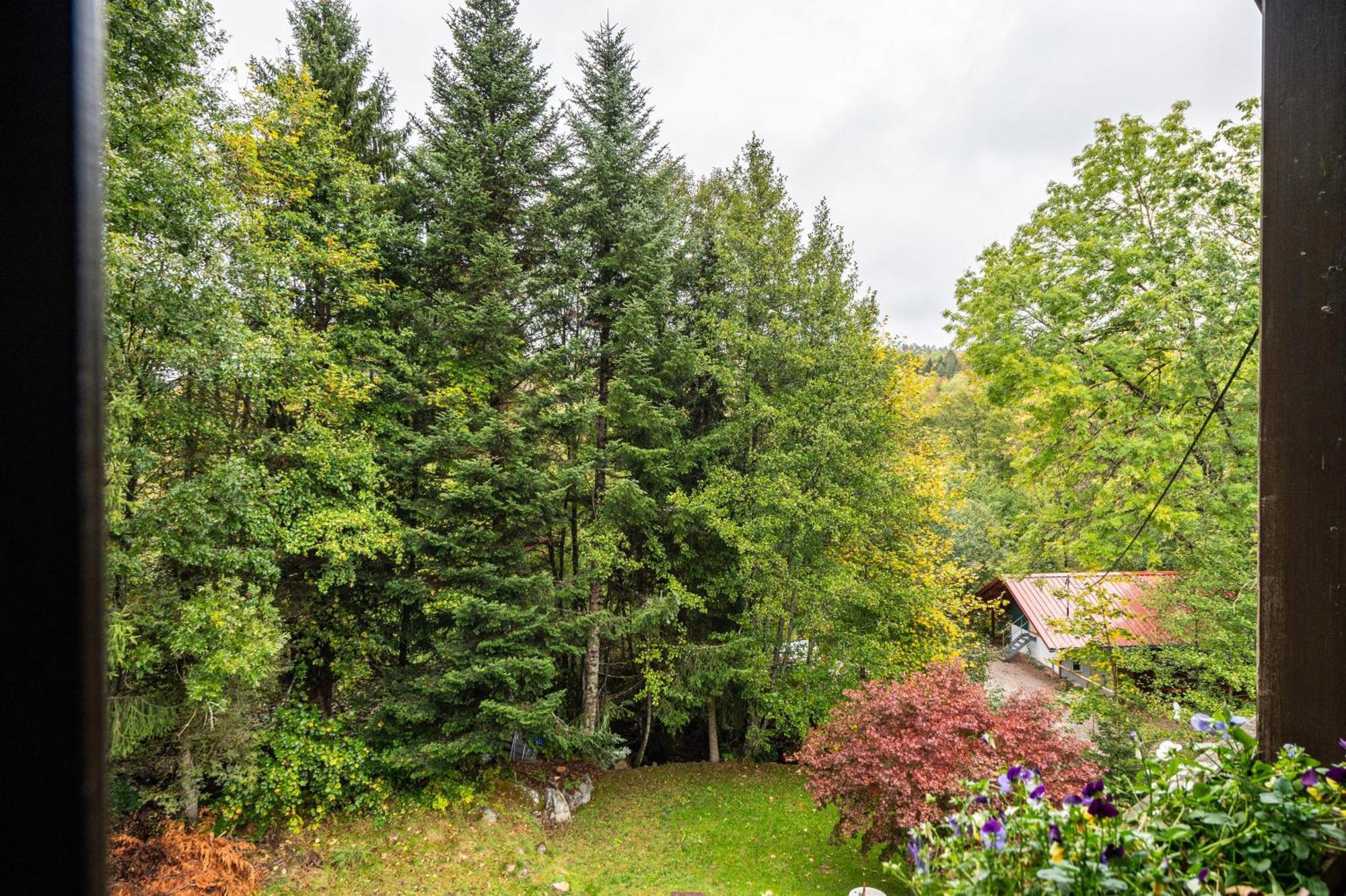 Landhaus Am Schmiedebach Wittenschwand Exteriör bild