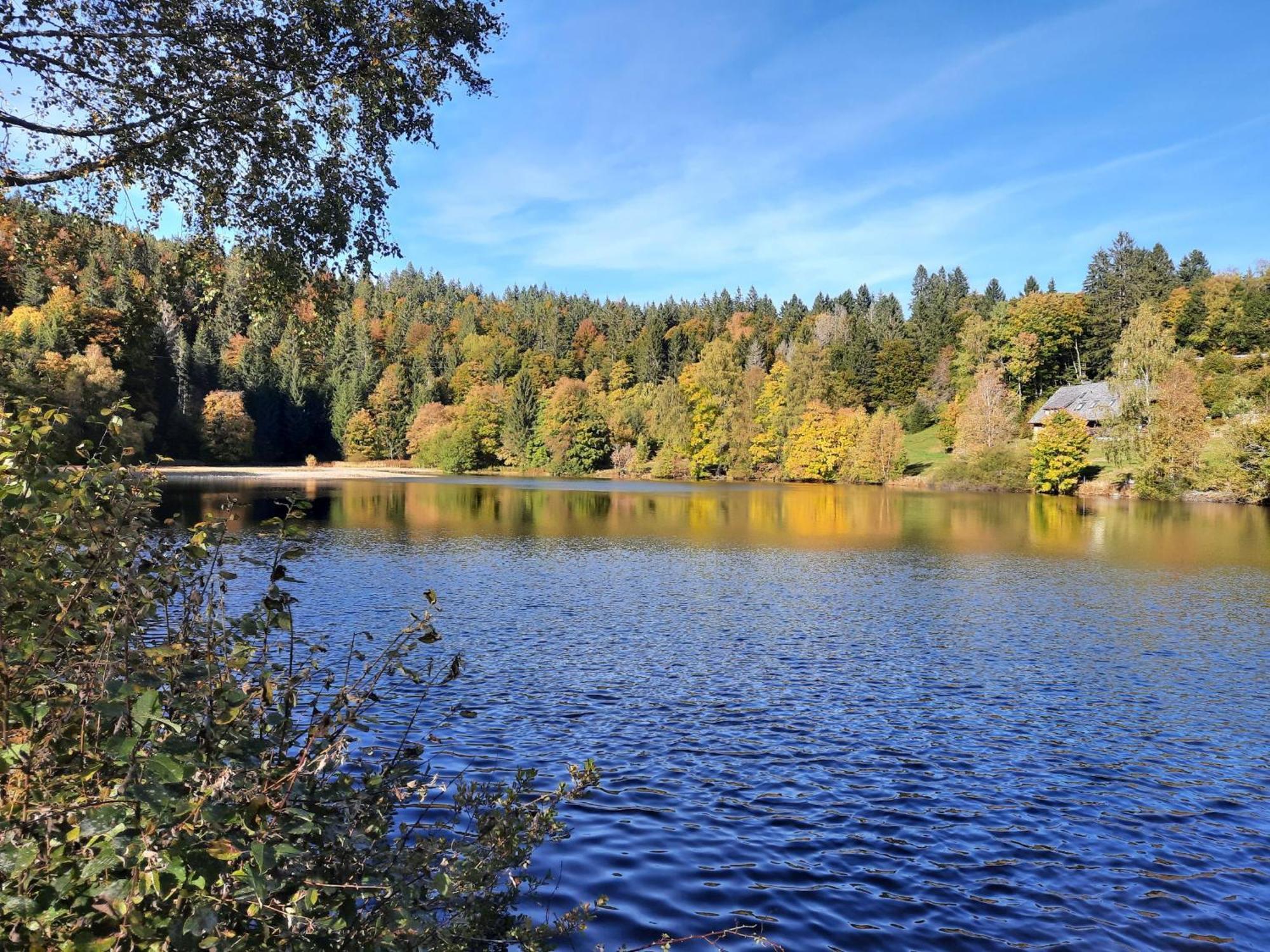 Landhaus Am Schmiedebach Wittenschwand Exteriör bild